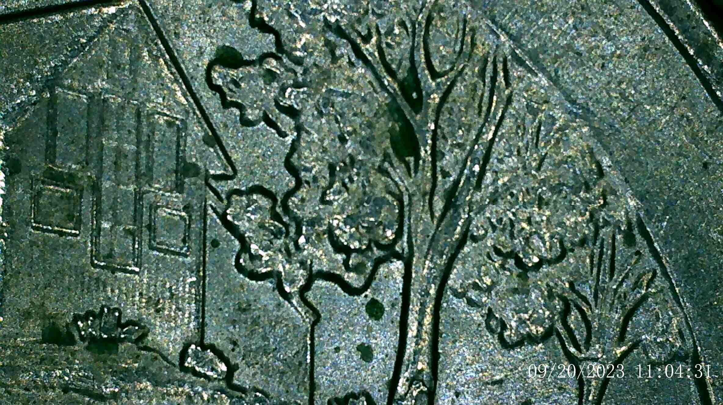 2020-P-Weir-Farms-Quarter-With-Black-Spots-Beehive